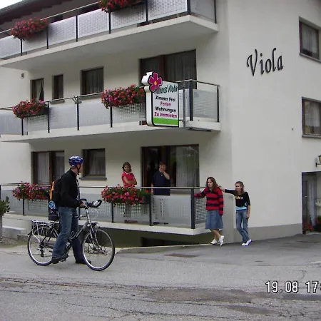 Viola