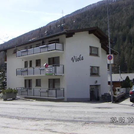 Viola